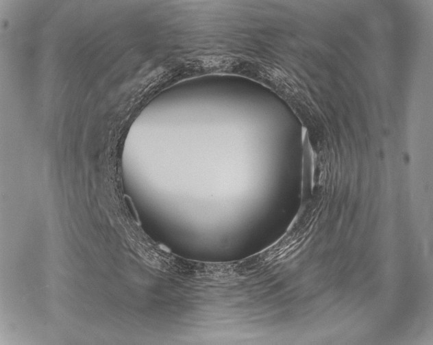 X0000070241249200606051116