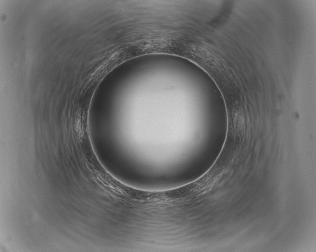 X0000070241250200606051116