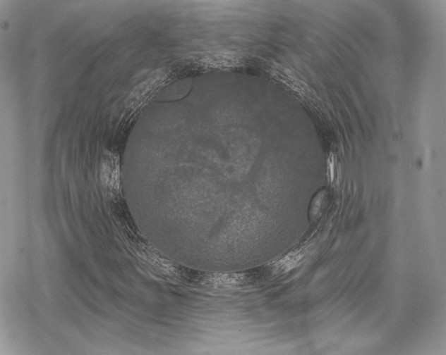 X0000070241251200606051116