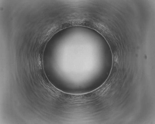 X0000070241252200606051116