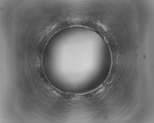 X0000070241253200606051116