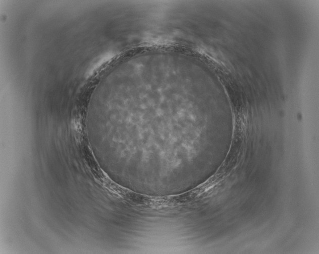 X0000070241254200606051116