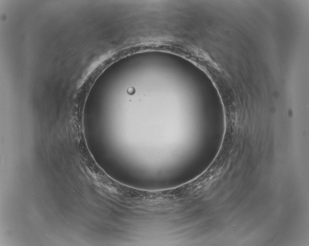 X0000070241256200606051116