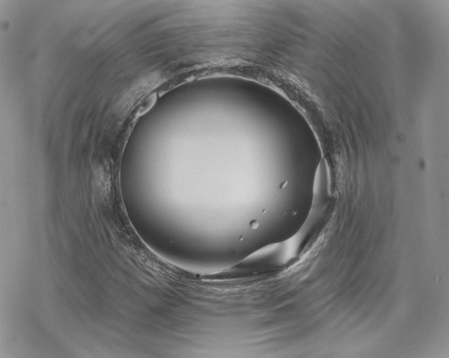 X0000070241257200606051116