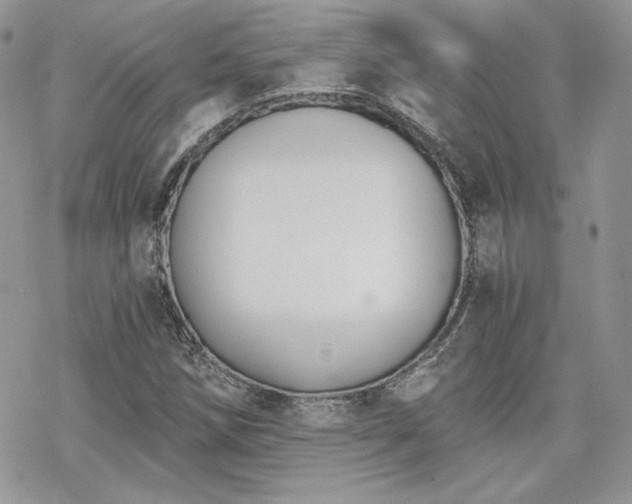 X0000070241258200606051116