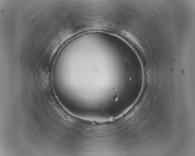 X0000070241260200606051116