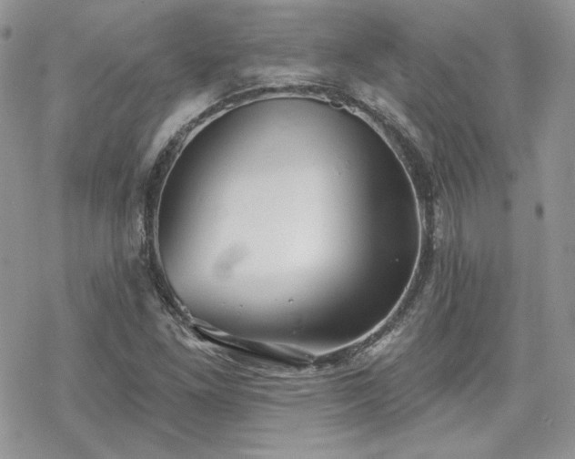 X0000070241261200606051116