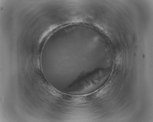 X0000070241262200606051116