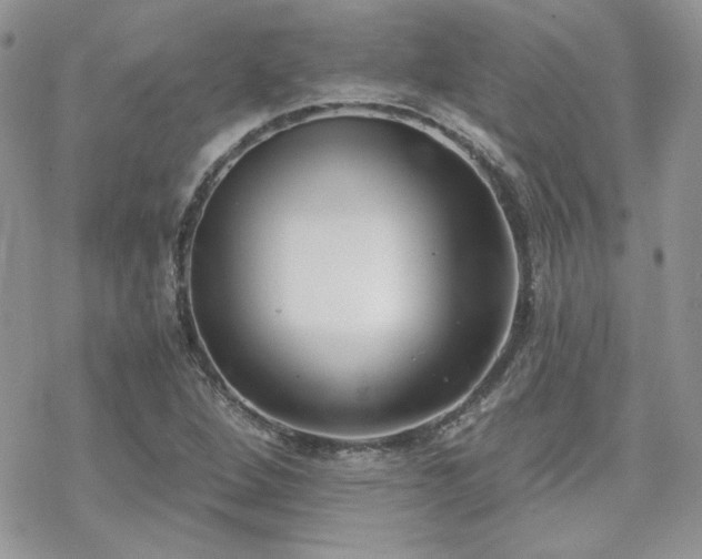 X0000070241264200606051116