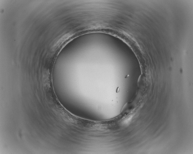 X0000070241265200606051116