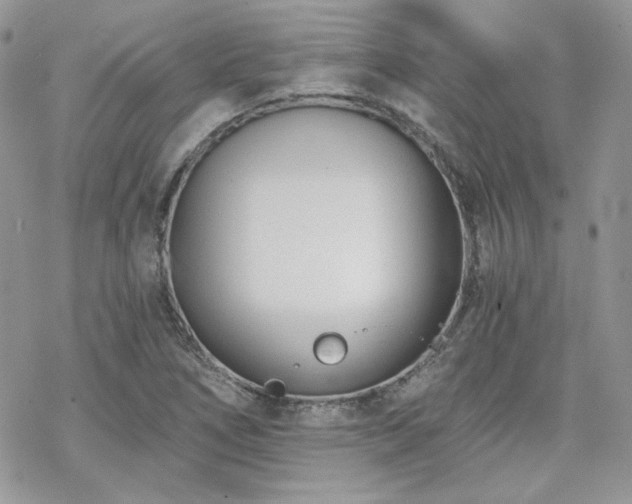 X0000070241266200606051116