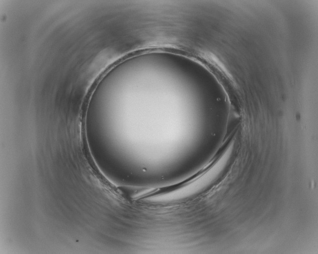 X0000070241268200606051116