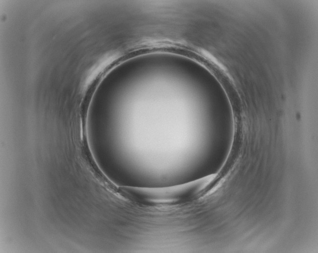 X0000070241269200606051116