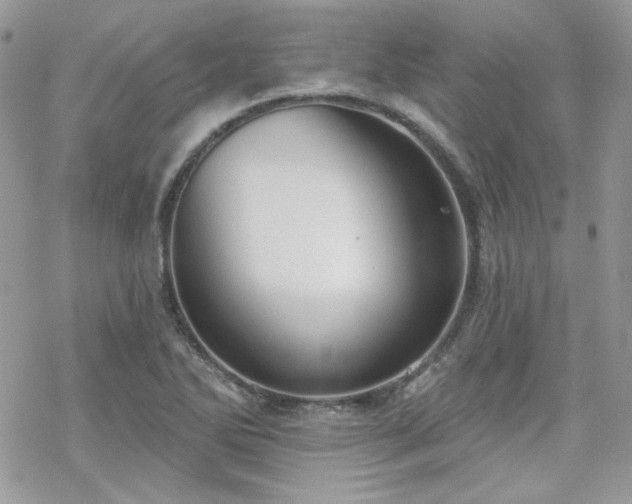 X0000070241270200606051116