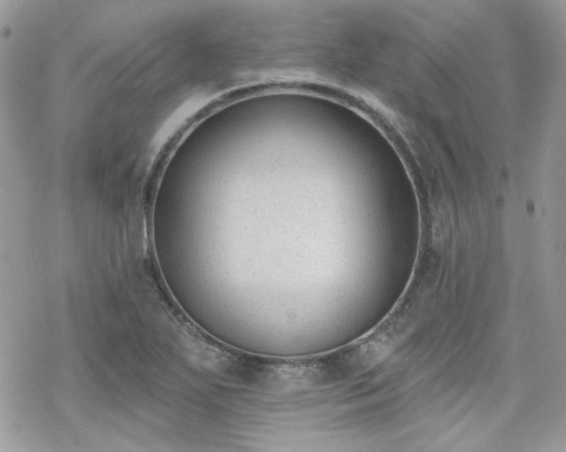 X0000070241271200606051116