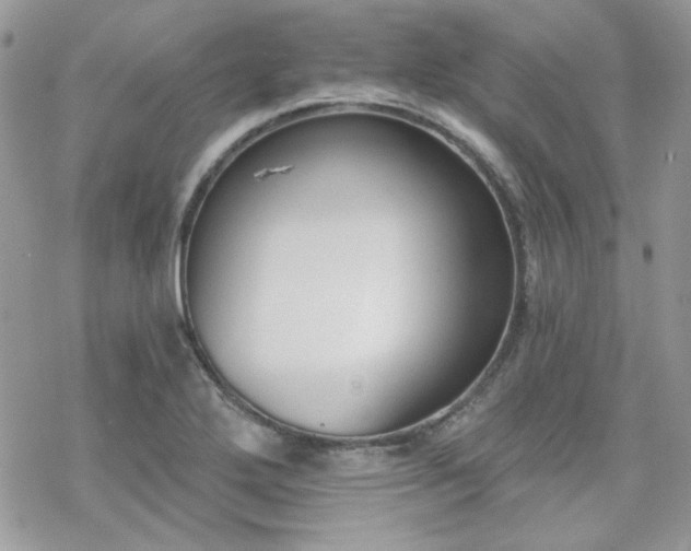 X0000070241272200606051116