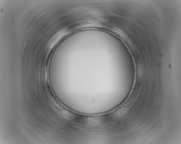 X0000070241274200606051116