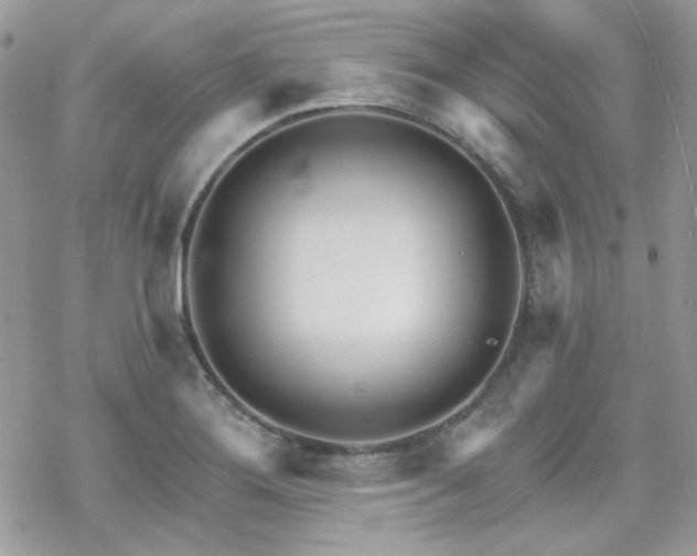 X0000070241276200606051116