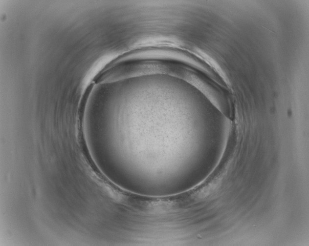 X0000070241277200606051116