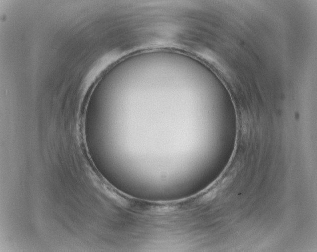 X0000070241278200606051116