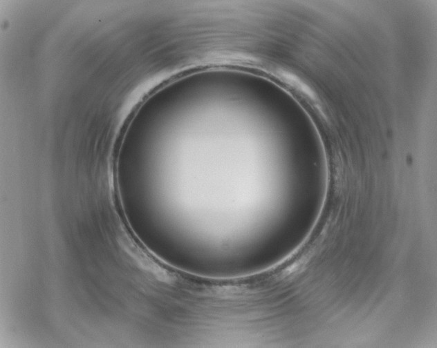 X0000070241280200606051116