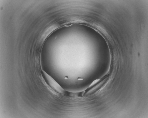 X0000070241281200606051116