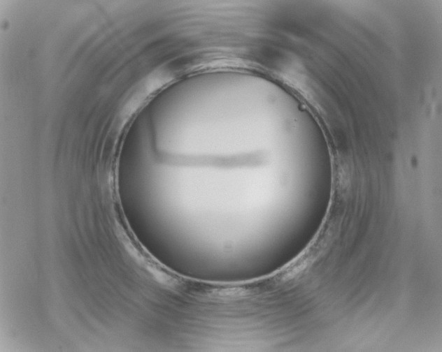 X0000070241282200606051116