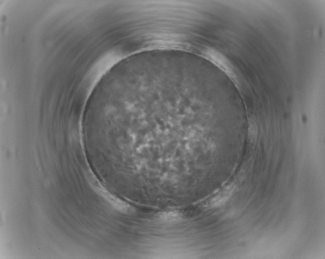 X0000070241283200606051115