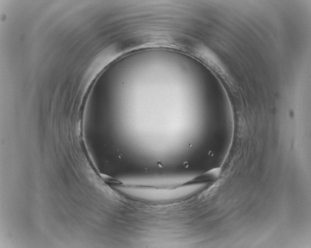 X0000070241284200606051115