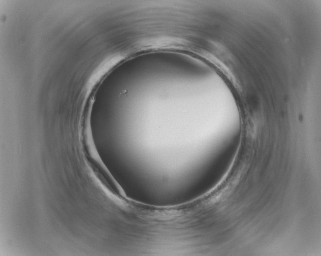 X0000070241285200606051115