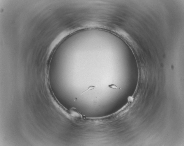 X0000070241286200606051115