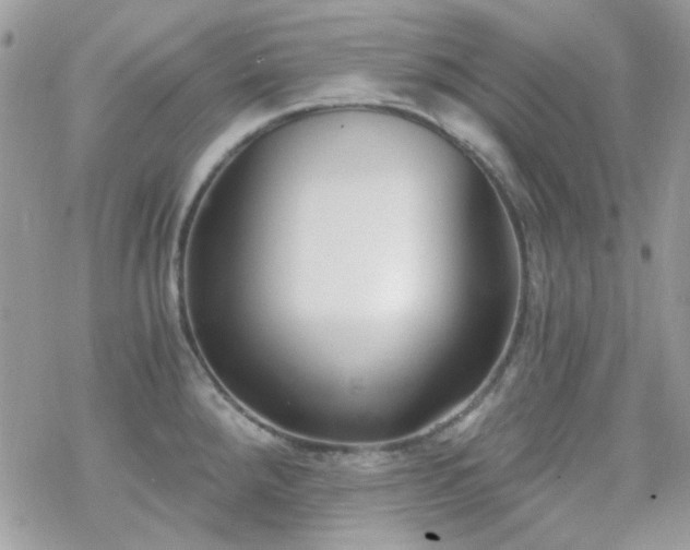 X0000070241288200606051115