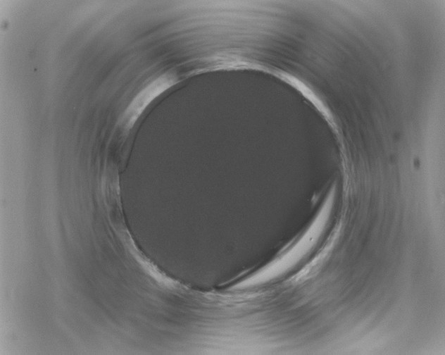 X0000070241289200606051115