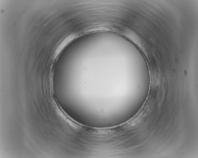 X0000070241290200606051115