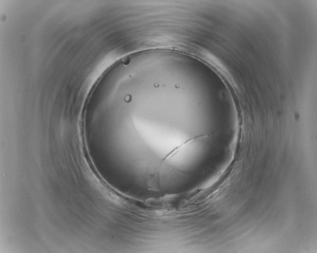 X0000070241291200606051115