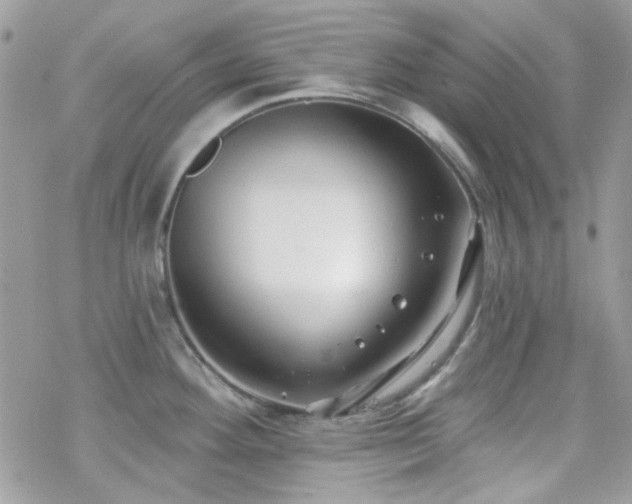 X0000070241292200606051115