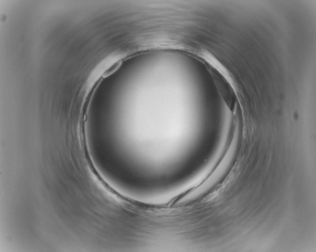 X0000070241293200606051115