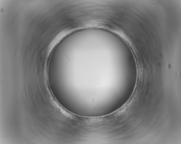 X0000070241294200606051115