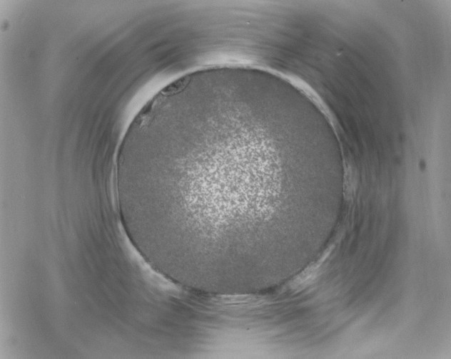 X0000070241295200606051115