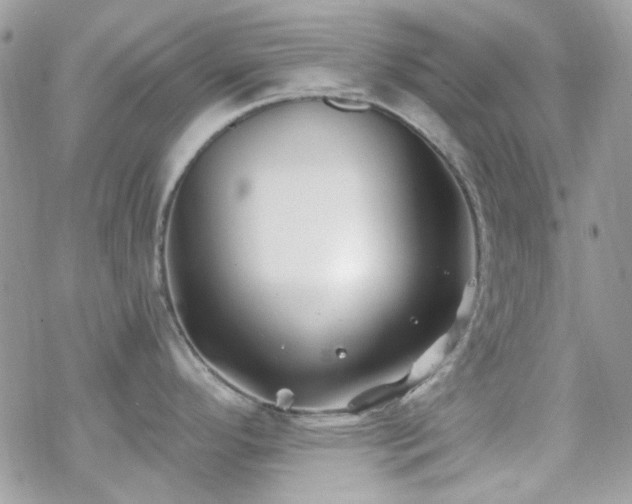 X0000070241296200606051115