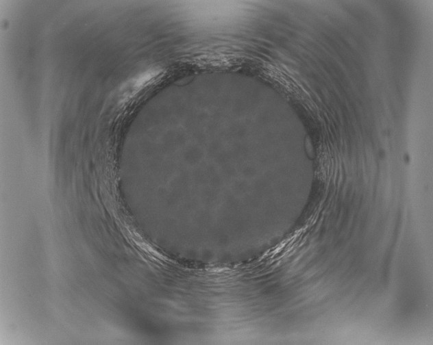 X0000070241297200606051115