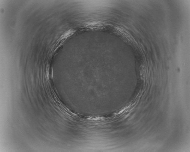 X0000070241298200606051115