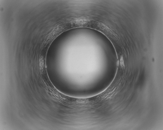 X0000070241299200606051115