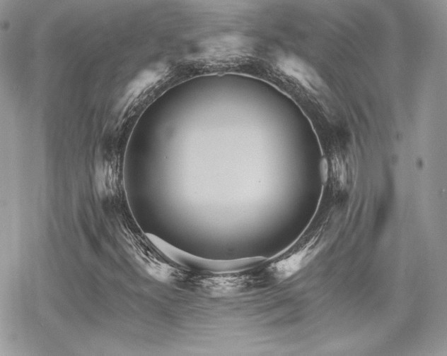 X0000070241300200606051115