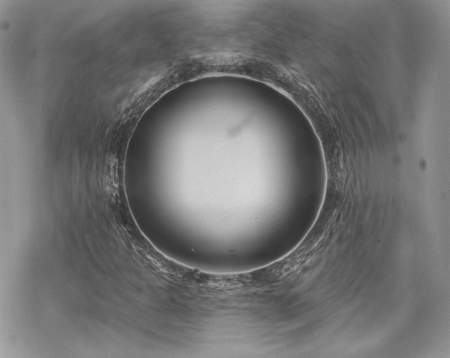 X0000070241301200606051115