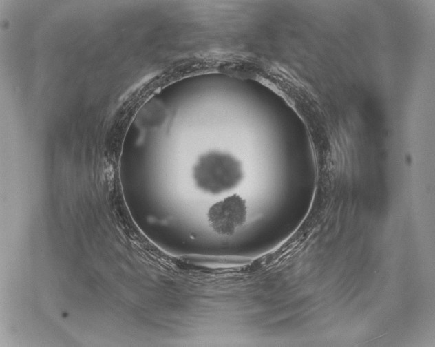 X0000070241302200606051115