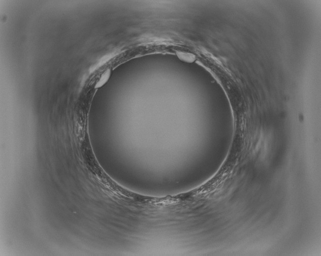 X0000070241303200606051115