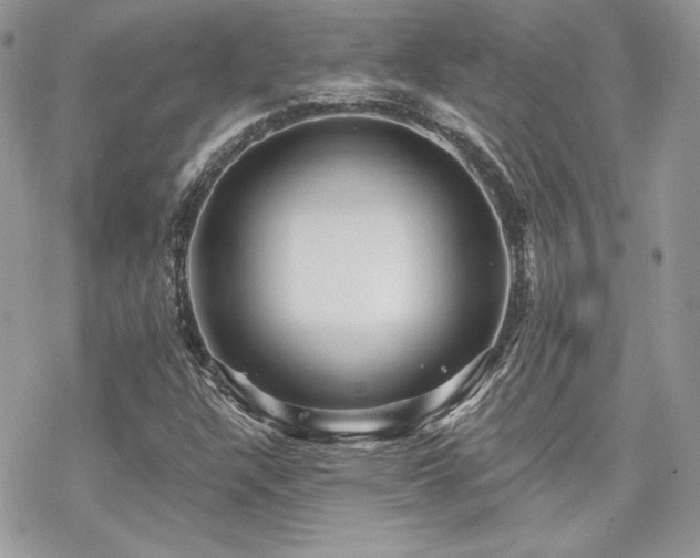 X0000070241304200606051115