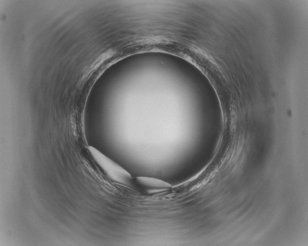 X0000070241305200606051115