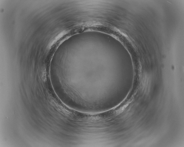 X0000070241306200606051115